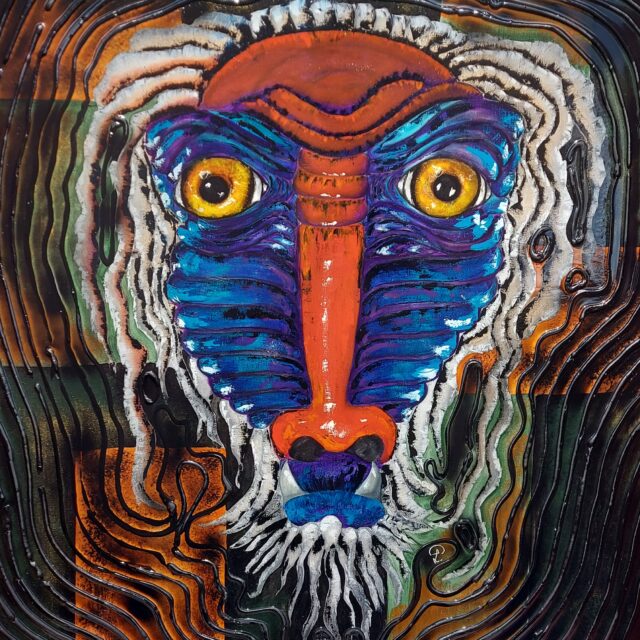 L'empreinte du Mandrill